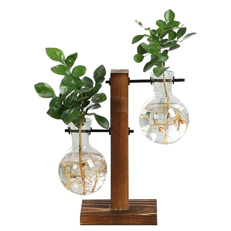 Hydroponic Plant Vases