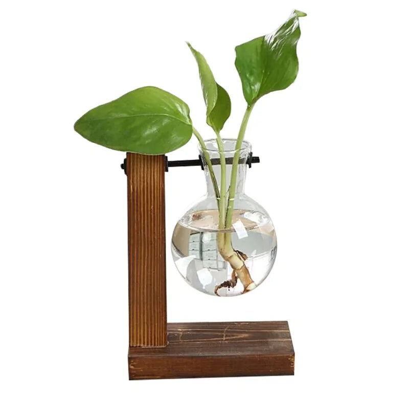 Hydroponic Plant Vases