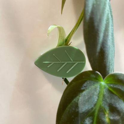 Leaf Wall Plant Clips