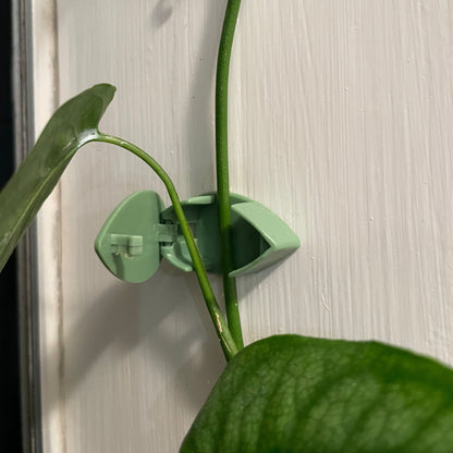 Leaf Wall Plant Clips