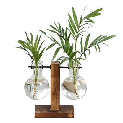 Hydroponic Plant Vases